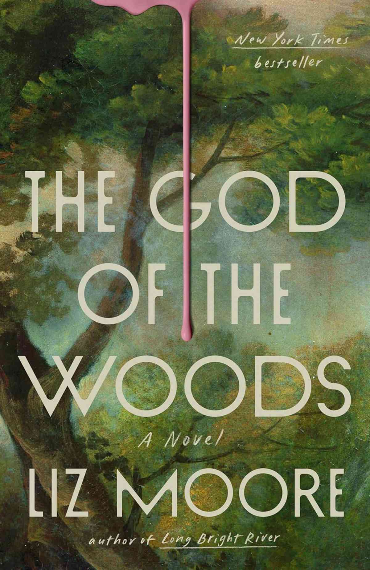 Book cover of "The God of the Woods" by Liz Moore